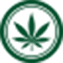 www.cannabisbusinesstimes.com